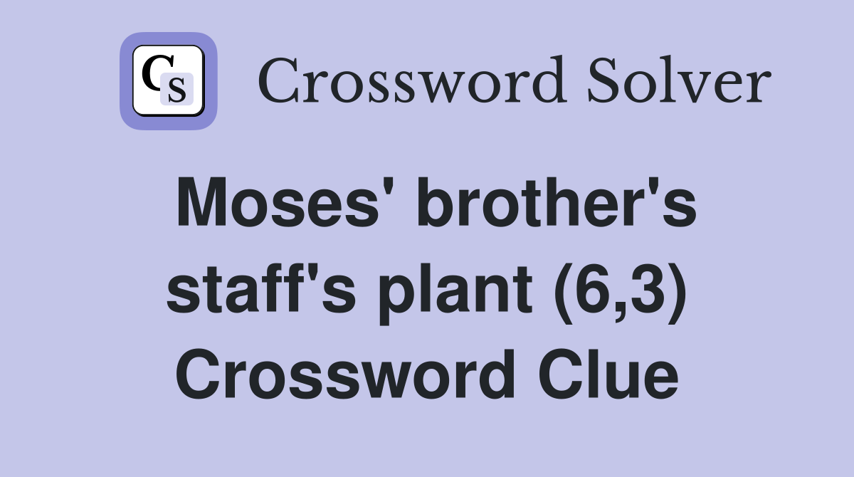 Moses' brother's staff's plant (6,3) Crossword Clue