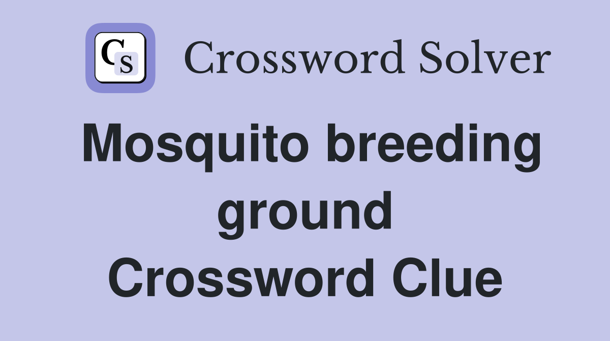 Mosquito breeding ground Crossword Clue