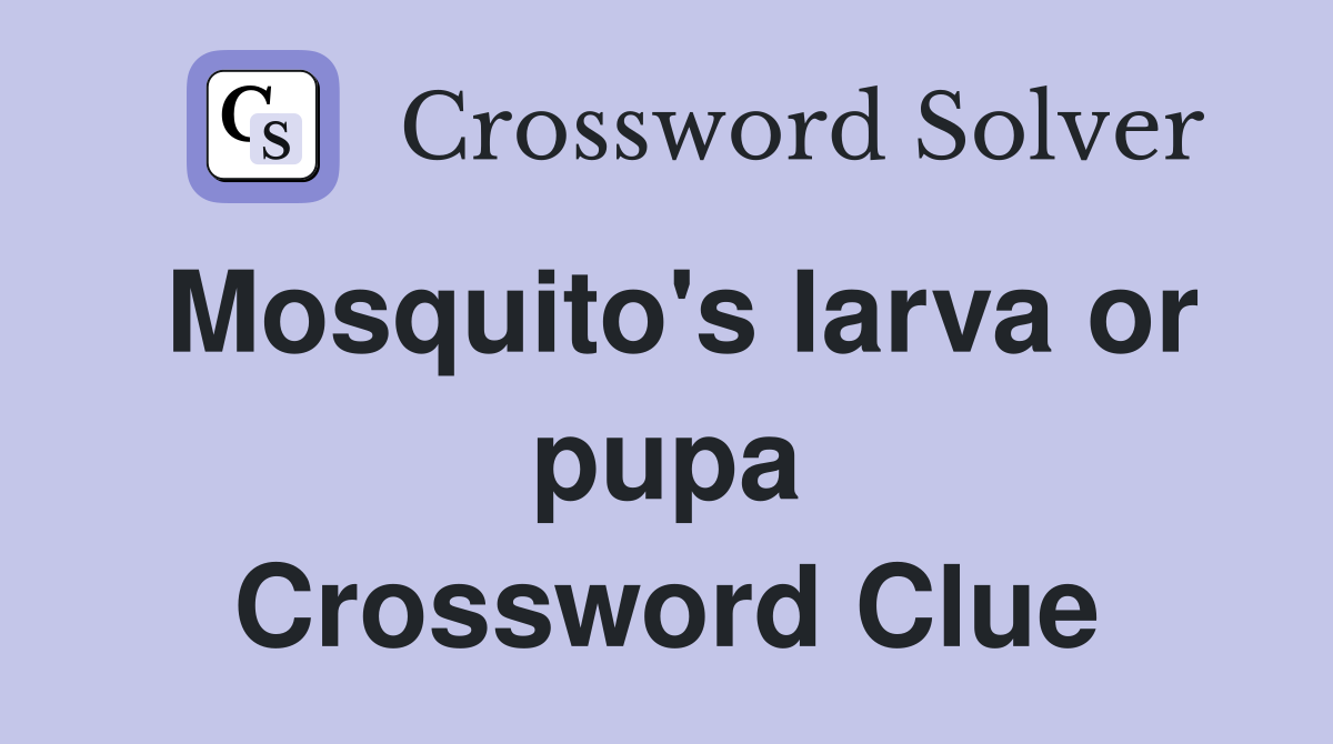 Mosquito's larva or pupa Crossword Clue