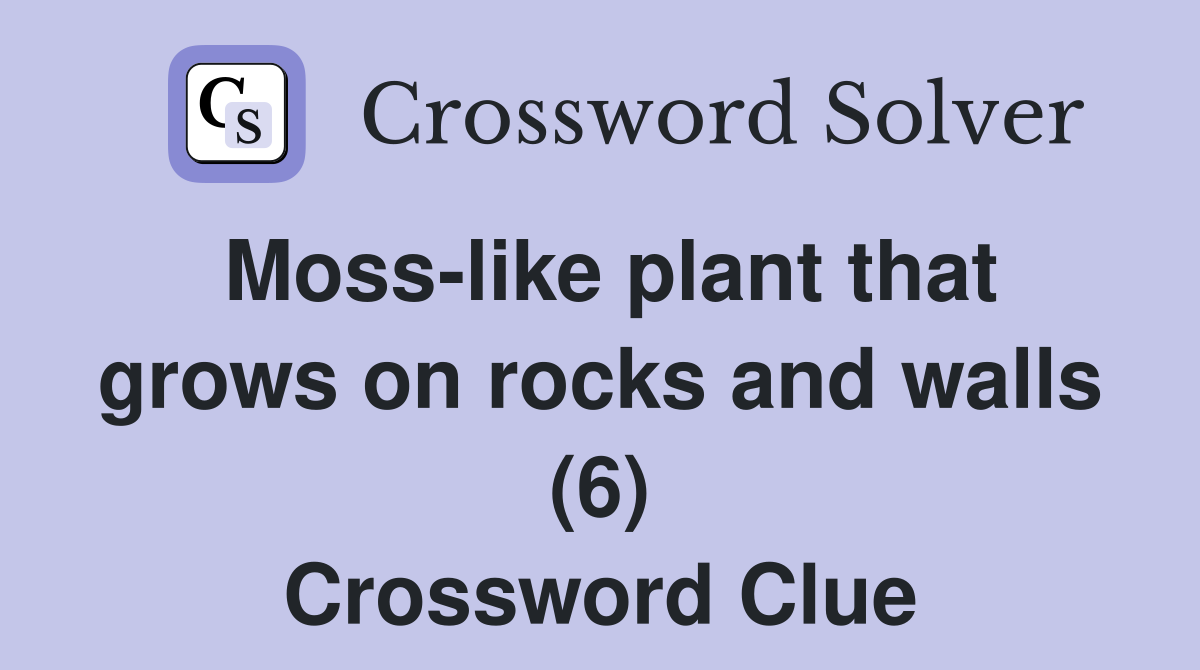 Moss-like plant that grows on rocks and walls (6) Crossword Clue