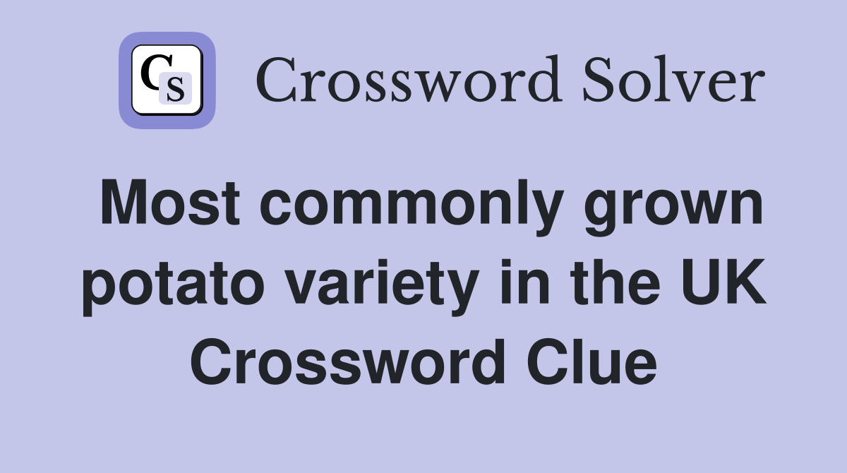 Most commonly grown potato variety in the UK Crossword Clue
