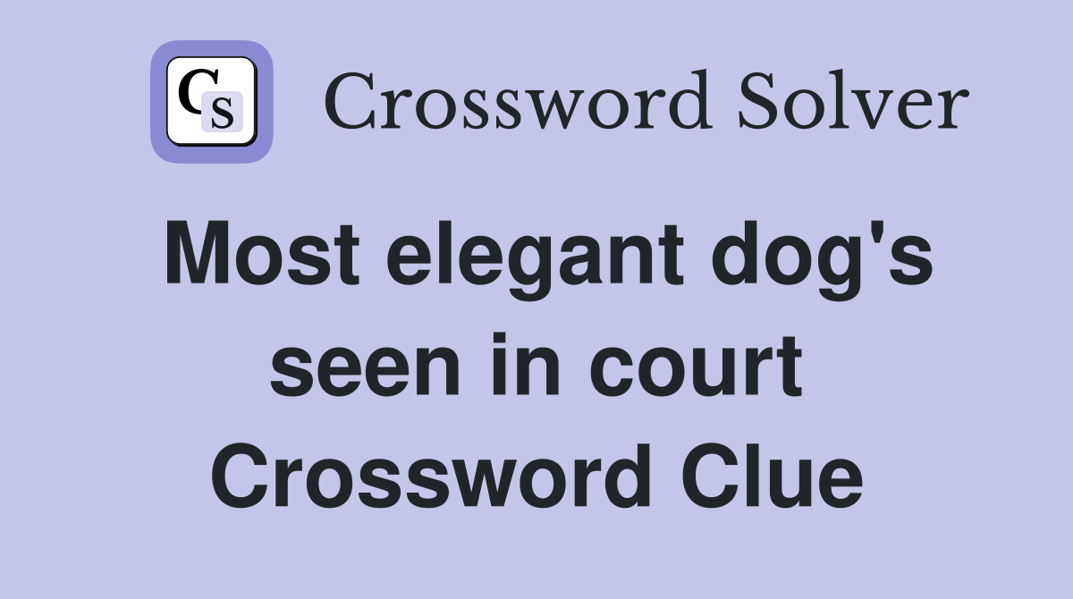Most elegant dog's seen in court Crossword Clue