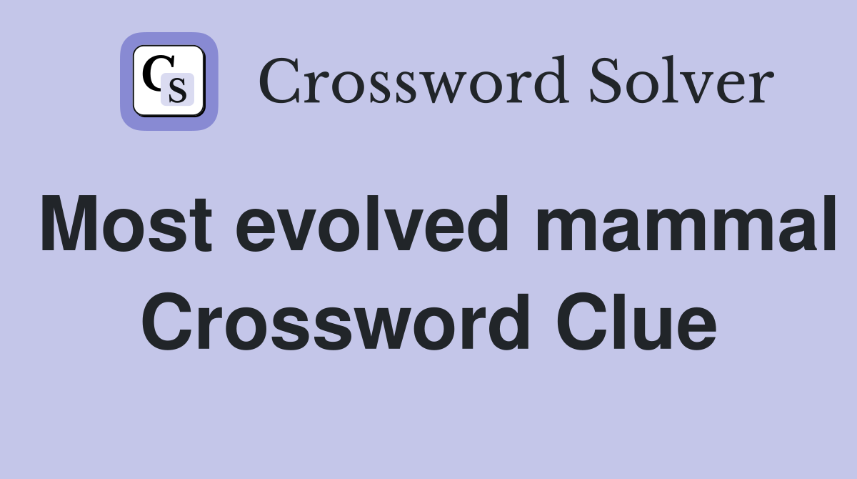 Most evolved mammal Crossword Clue