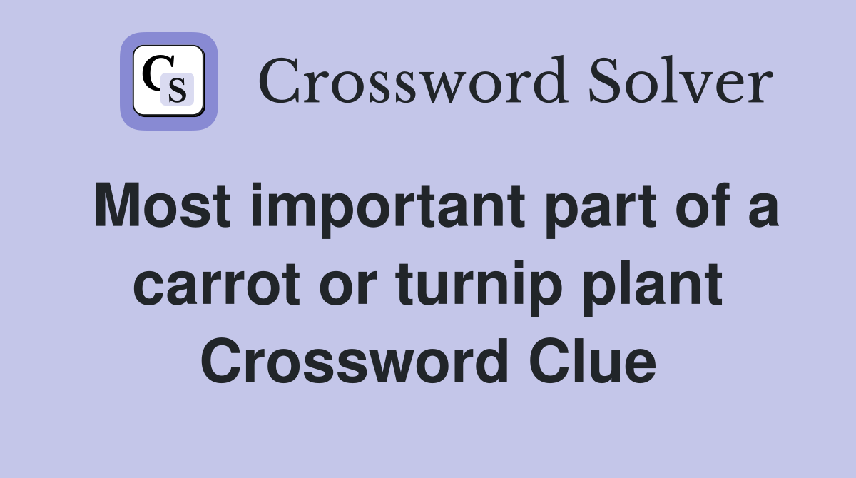 Most important part of a carrot or turnip plant Crossword Clue