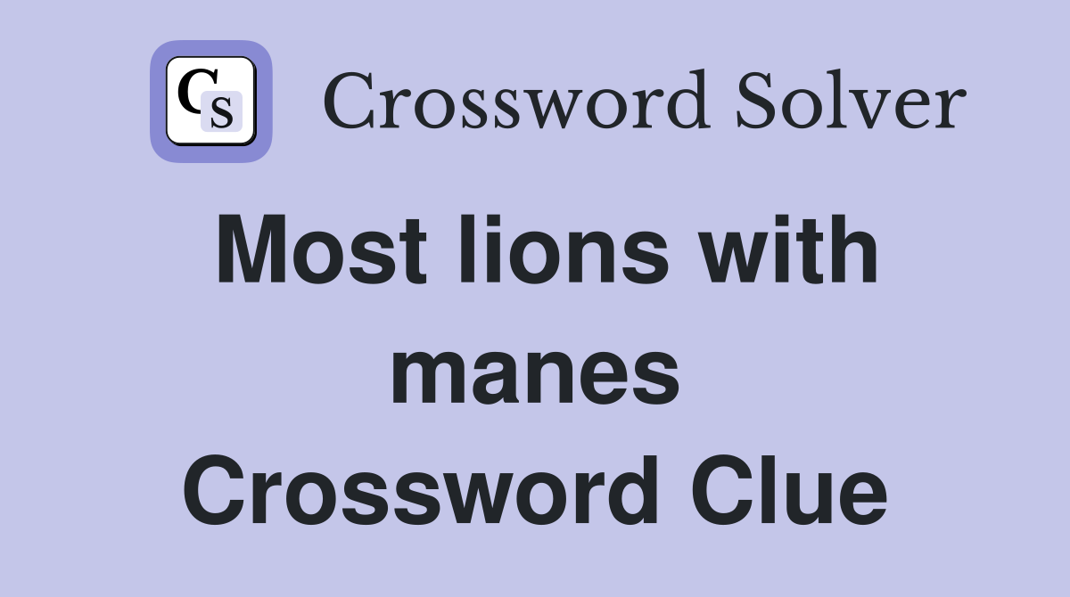 Most lions with manes Crossword Clue