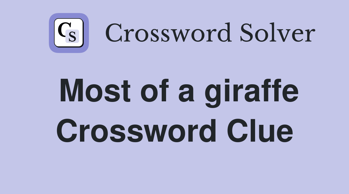 Most of a giraffe Crossword Clue
