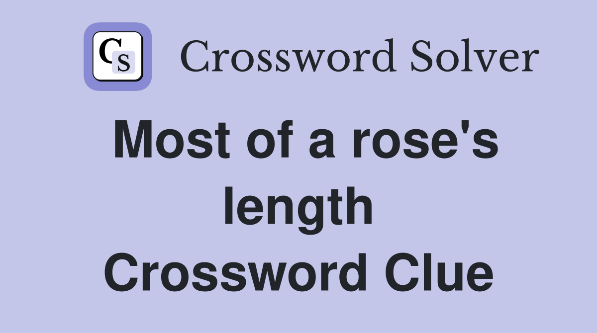 Most of a rose's length Crossword Clue