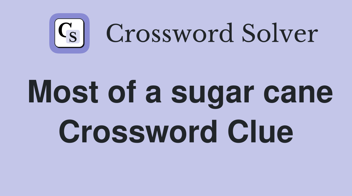 Most of a sugar cane Crossword Clue