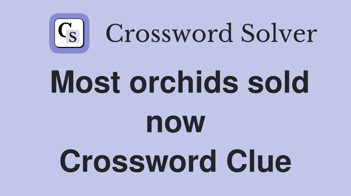 Most orchids sold now Crossword Clue