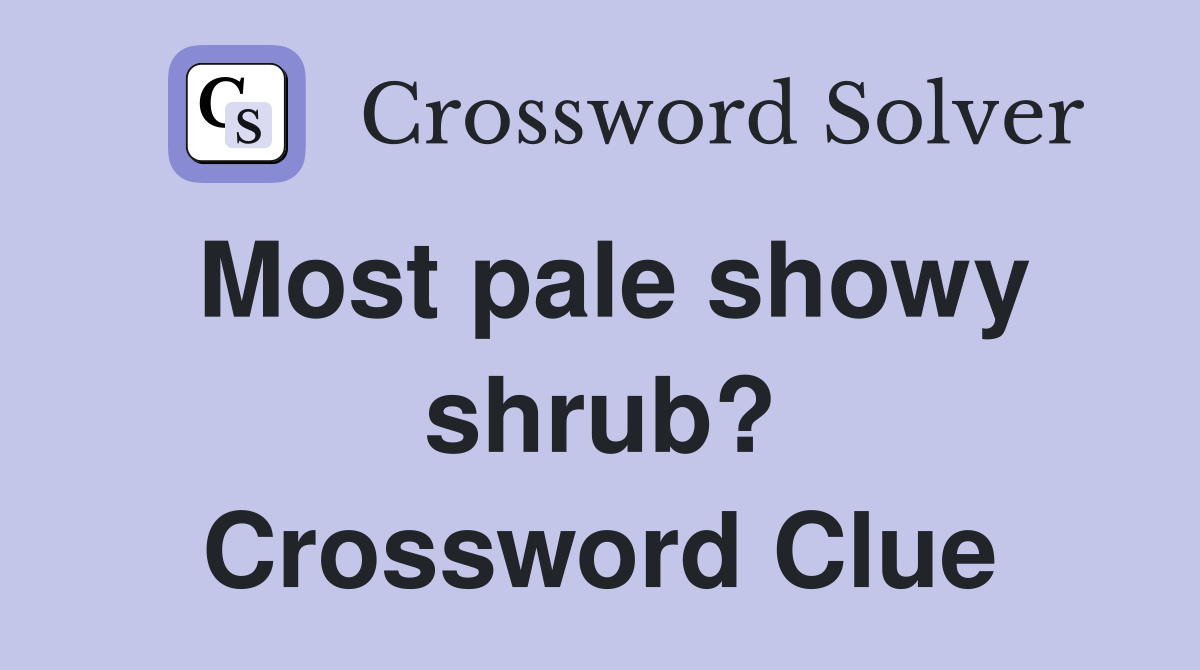 Most pale showy shrub? Crossword Clue