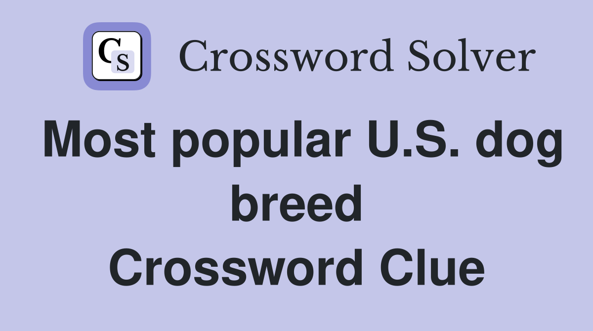 Most popular U.S. dog breed Crossword Clue