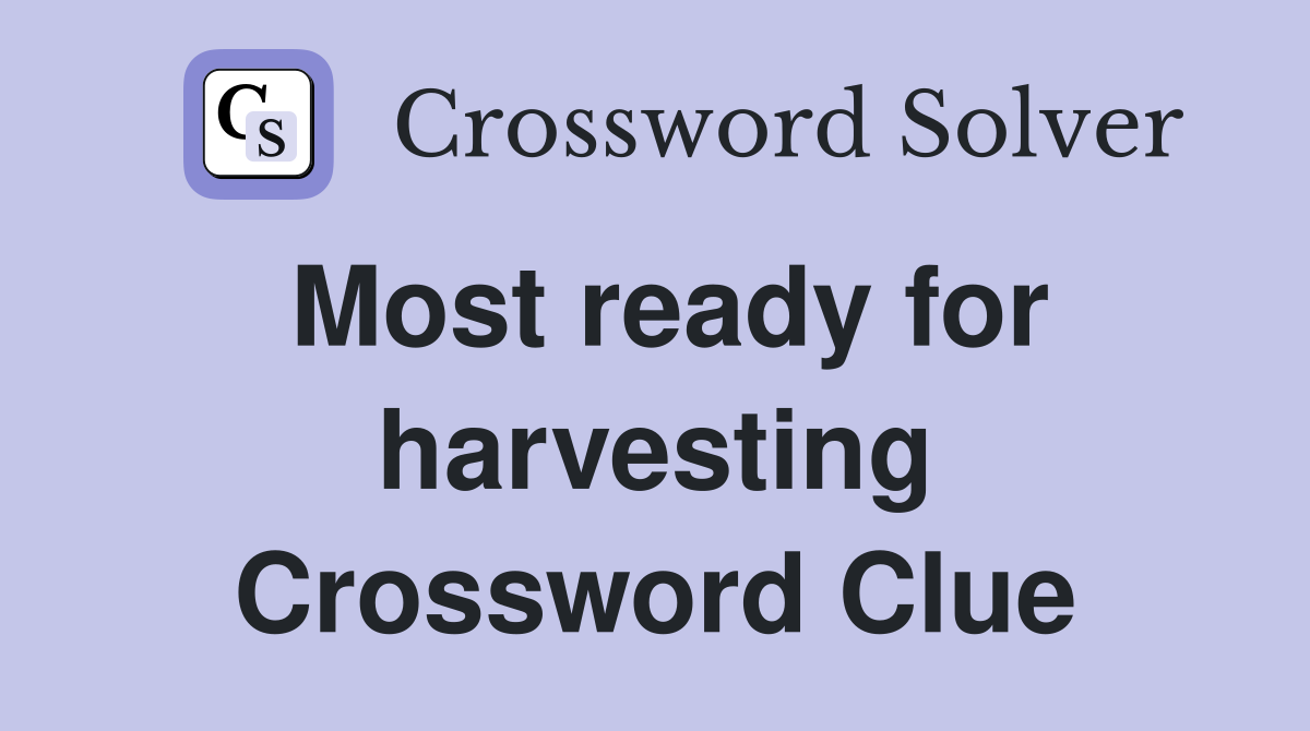 Most ready for harvesting Crossword Clue