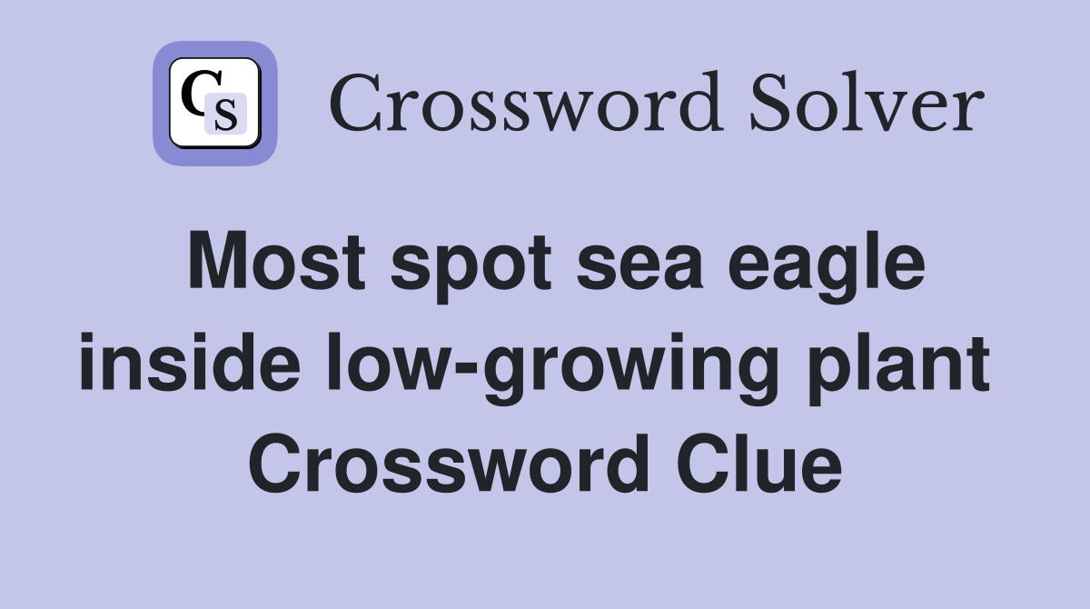 Most spot sea eagle inside low-growing plant  Crossword Clue