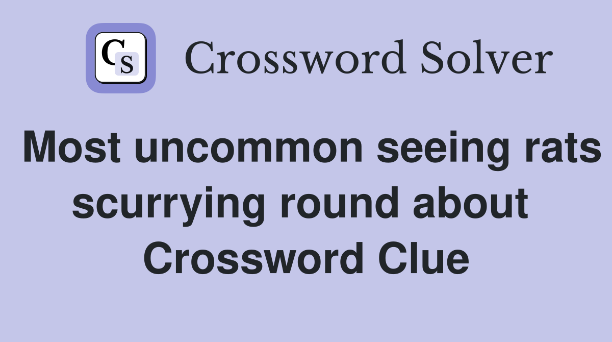 Most uncommon seeing rats scurrying round about  Crossword Clue