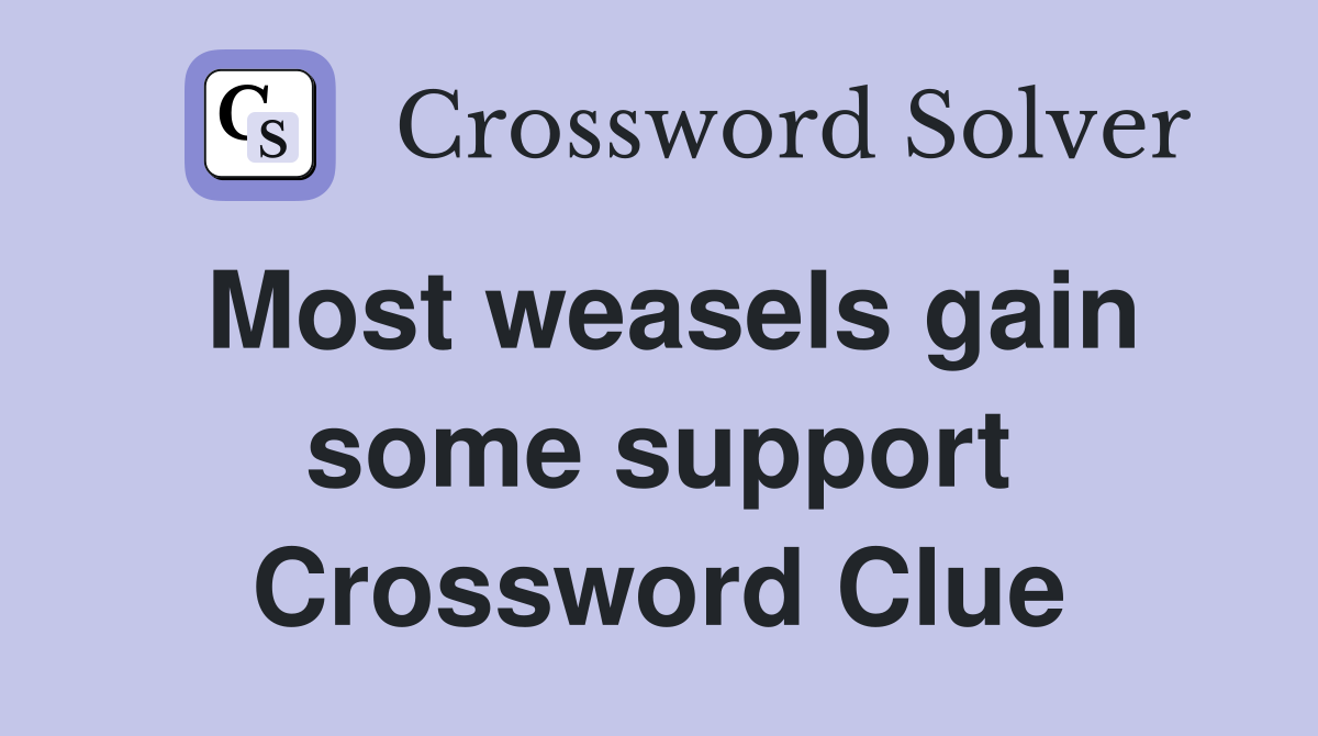 Most weasels gain some support Crossword Clue