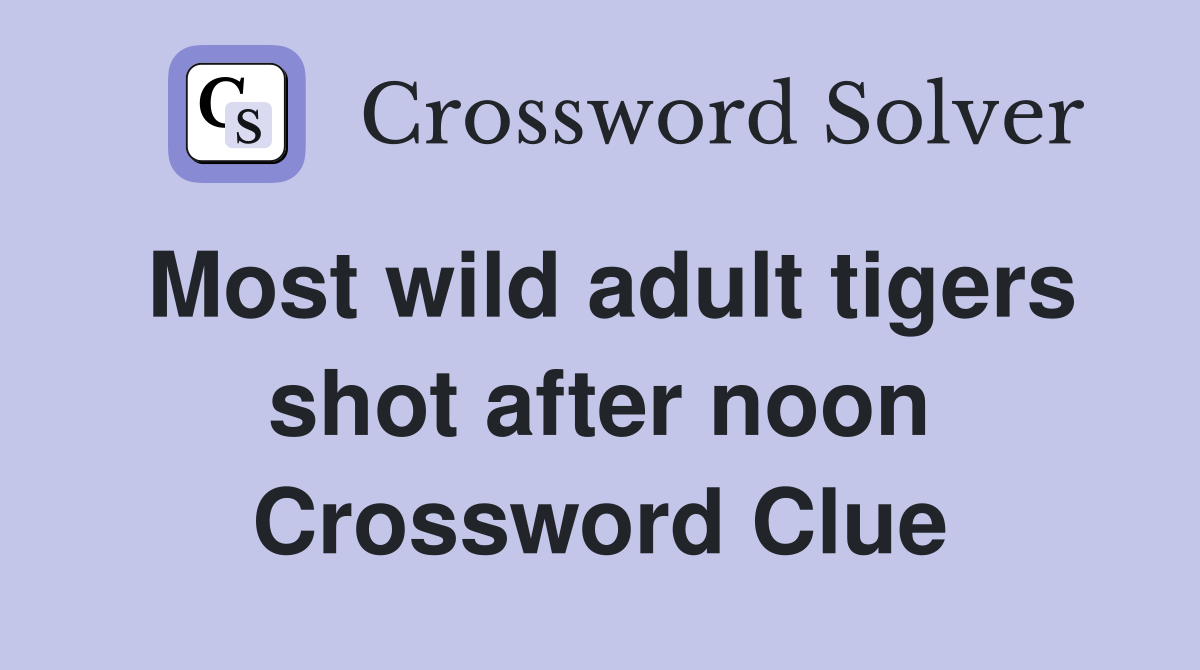 Most wild adult tigers shot after noon Crossword Clue