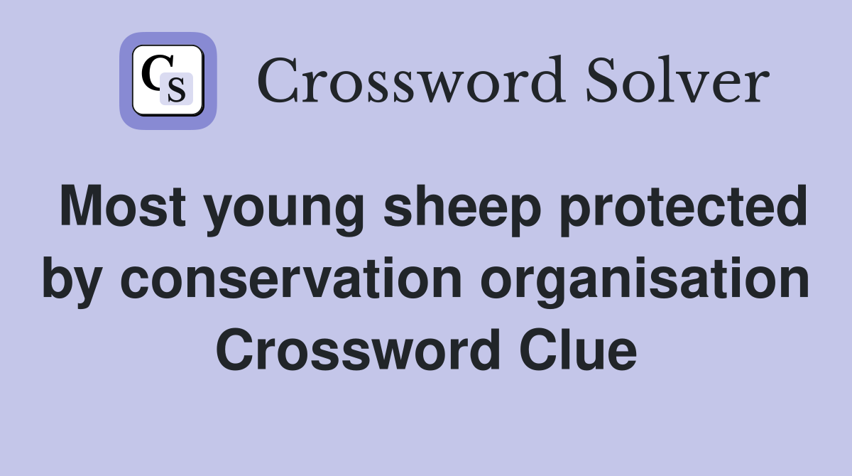 Most young sheep protected by conservation organisation Crossword Clue