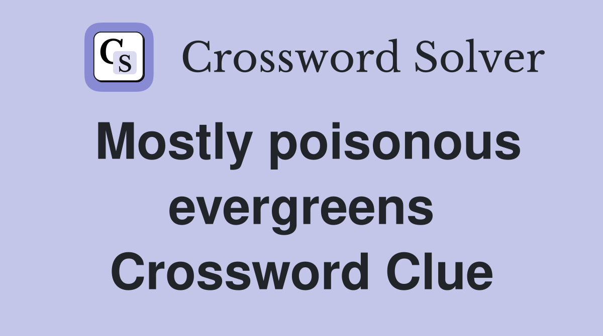 Mostly poisonous evergreens Crossword Clue