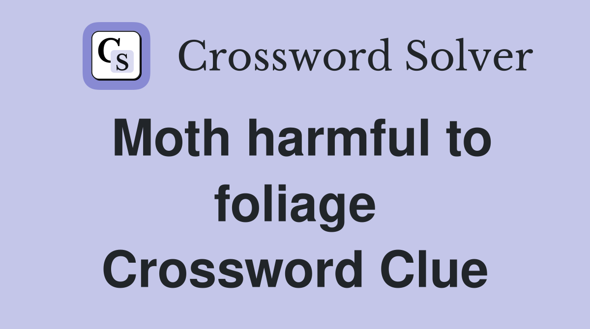 Moth harmful to foliage Crossword Clue