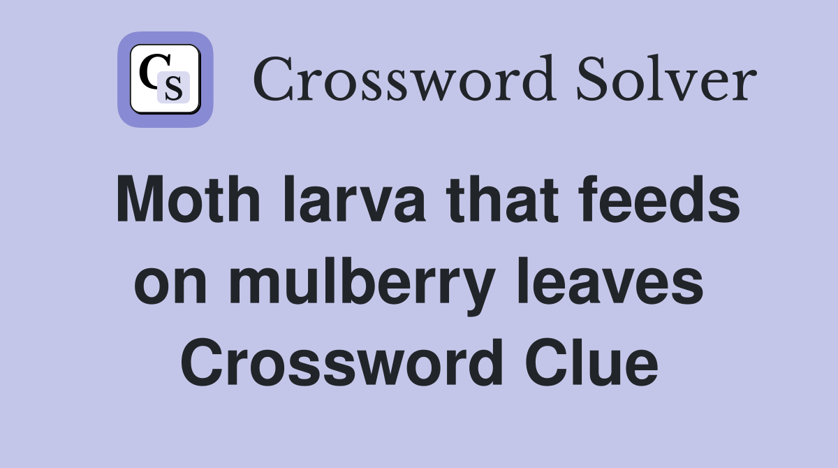 Moth larva that feeds on mulberry leaves Crossword Clue