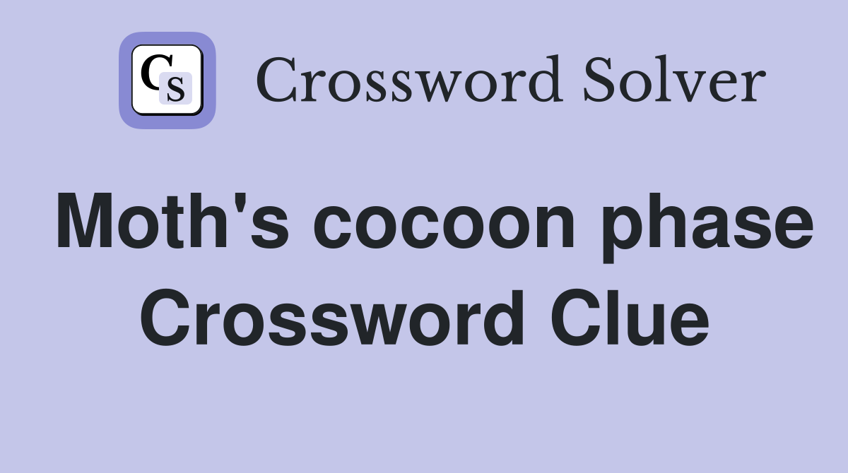 Moth's cocoon phase Crossword Clue