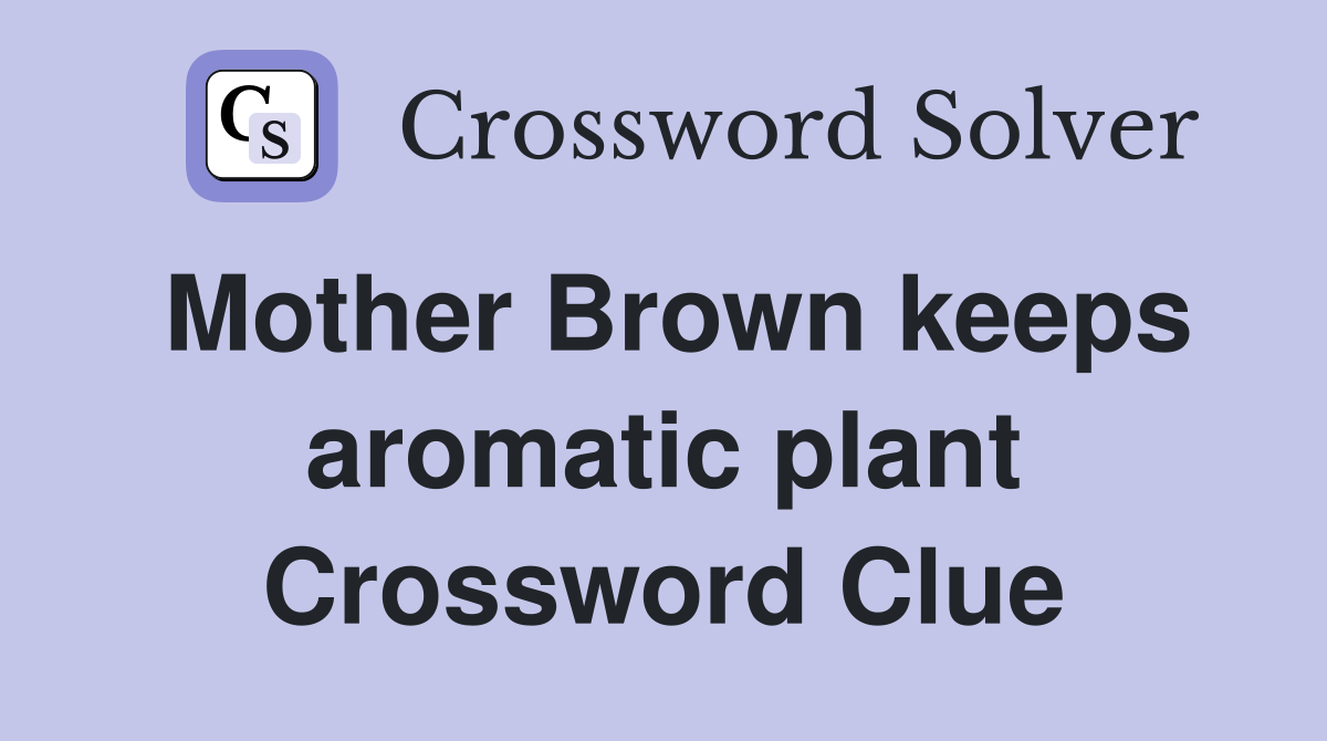 Mother Brown keeps aromatic plant Crossword Clue
