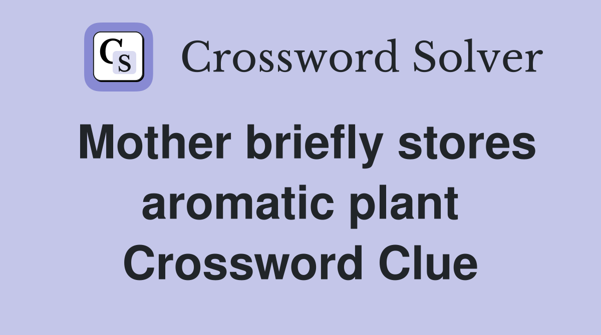 Mother briefly stores aromatic plant Crossword Clue