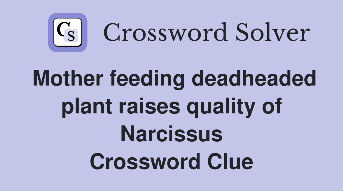 Mother feeding deadheaded plant raises quality of Narcissus Crossword Clue