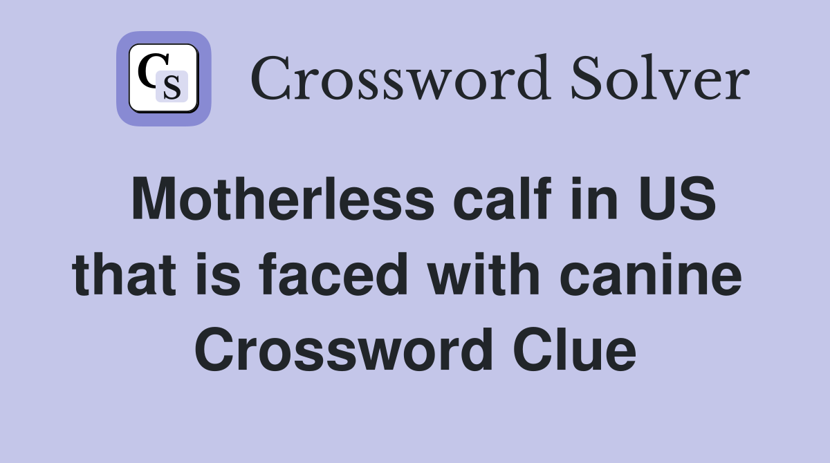 Motherless calf in US that is faced with canine  Crossword Clue