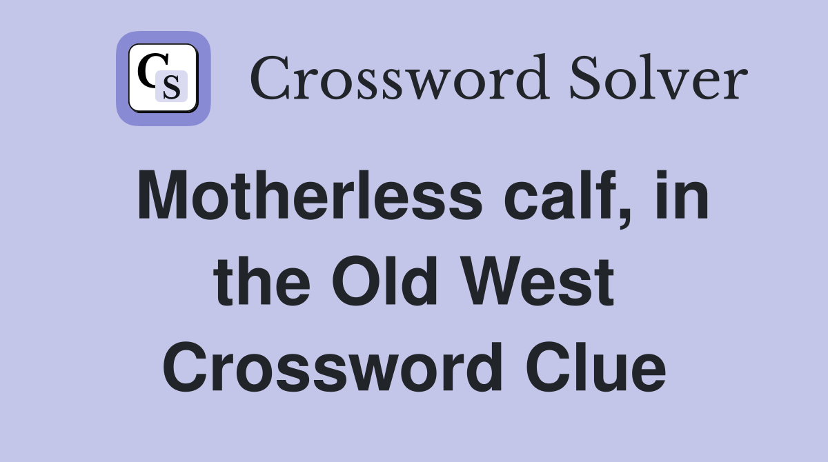 Motherless calf, in the Old West Crossword Clue