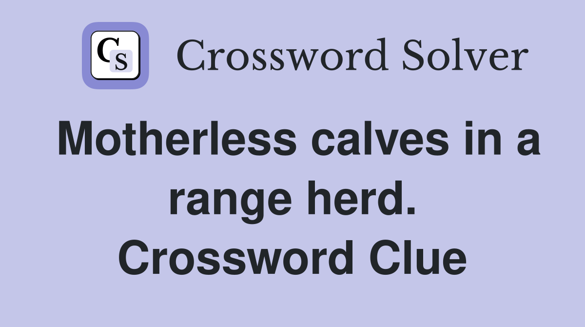 Motherless calves in a range herd. Crossword Clue