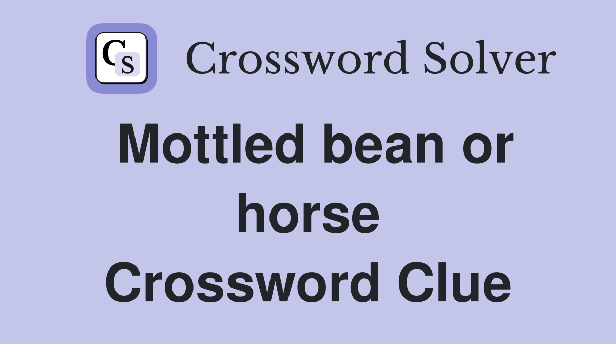 Mottled bean or horse Crossword Clue