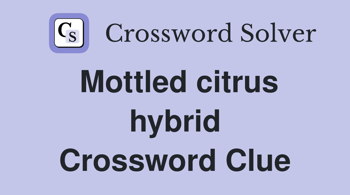 Mottled citrus hybrid Crossword Clue