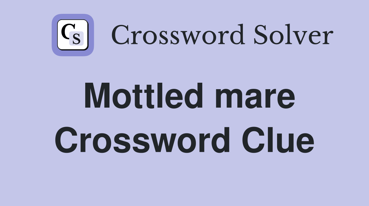 Mottled mare Crossword Clue