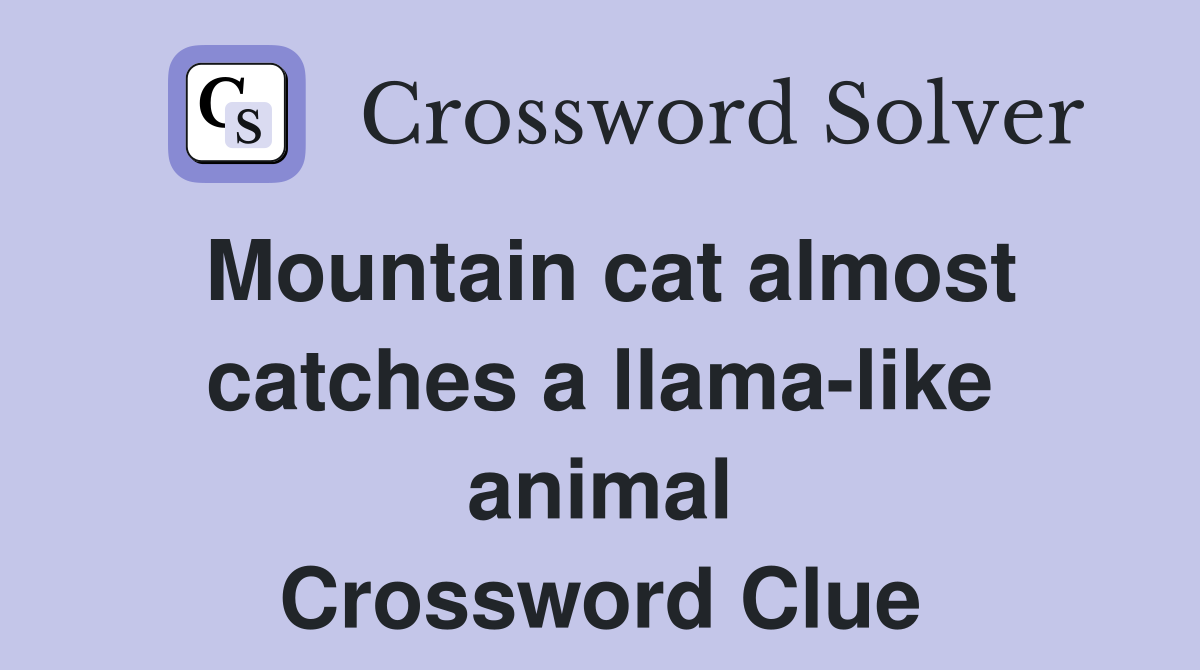 Mountain cat almost catches a llama-like animal Crossword Clue