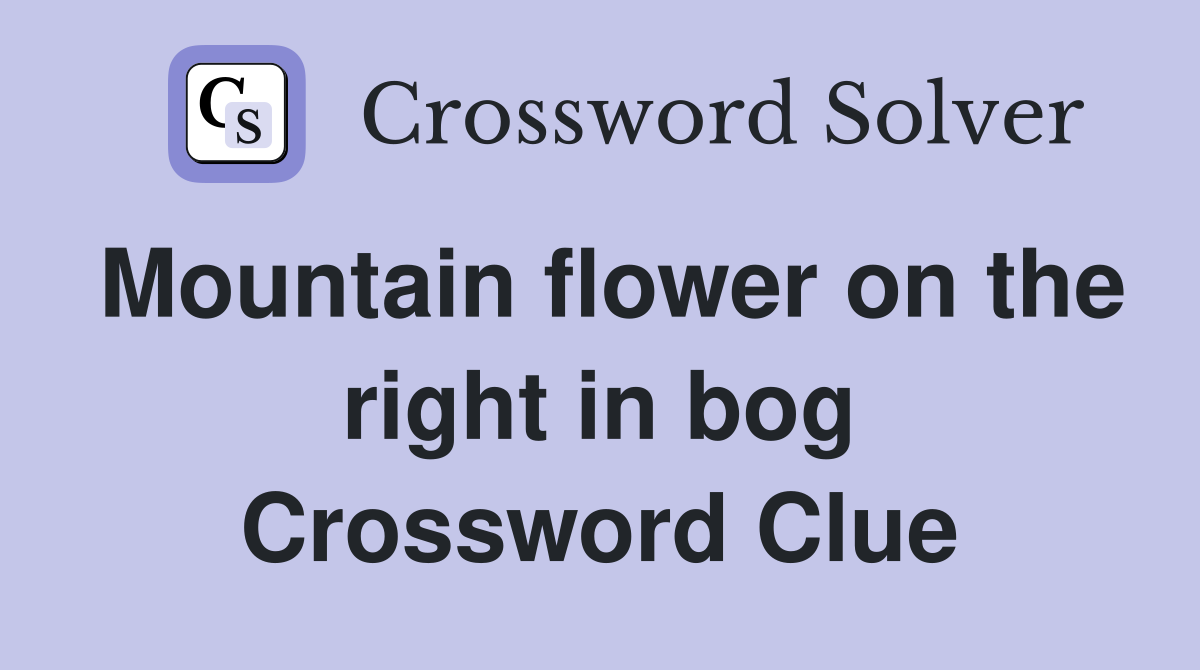Mountain flower on the right in bog Crossword Clue