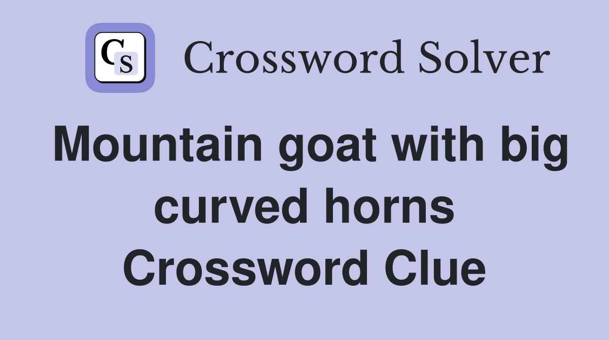 Mountain goat with big curved horns Crossword Clue