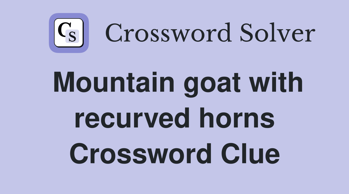 Mountain goat with recurved horns Crossword Clue
