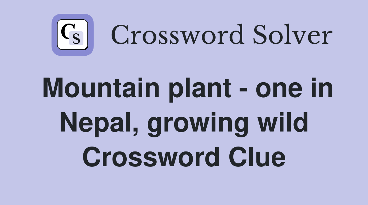 Mountain plant - one in Nepal, growing wild Crossword Clue