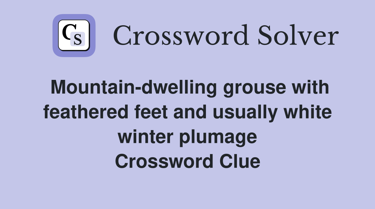 Mountain-dwelling grouse with feathered feet and usually white winter plumage Crossword Clue