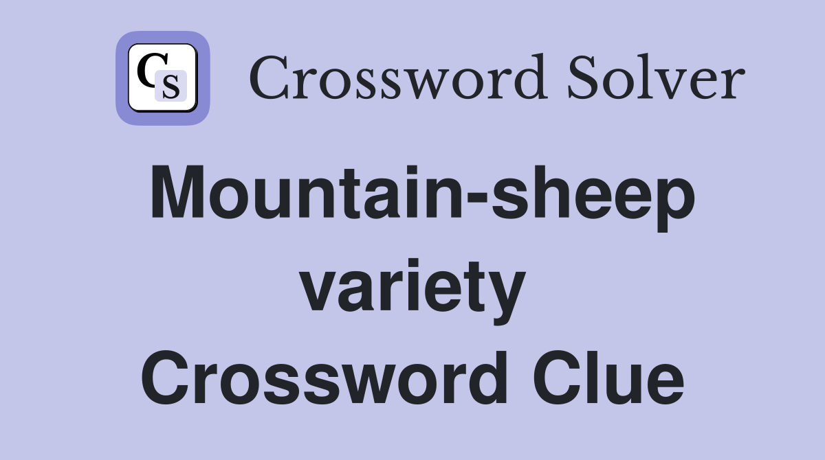 Mountain-sheep variety Crossword Clue