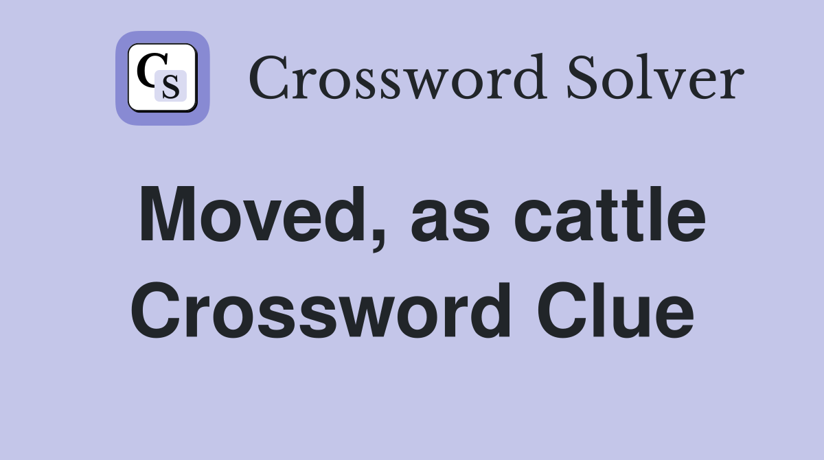 Moved, as cattle Crossword Clue
