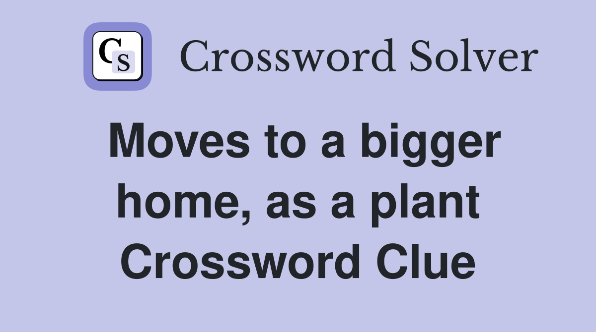 Moves to a bigger home, as a plant Crossword Clue