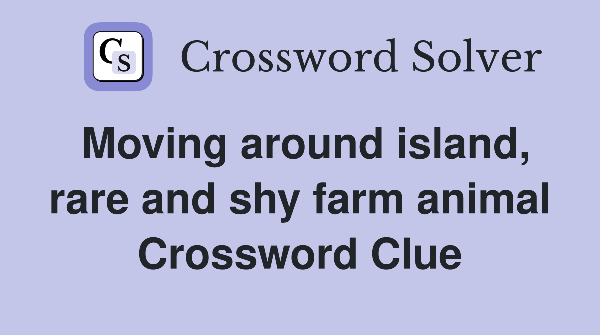 Moving around island, rare and shy farm animal Crossword Clue