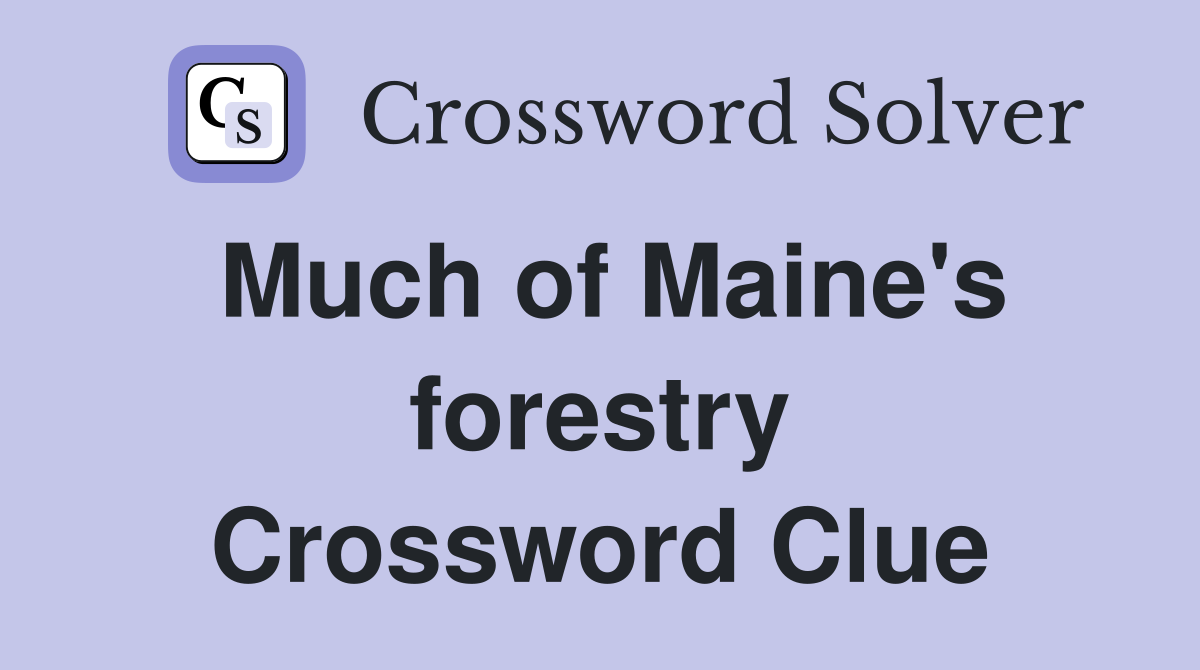 Much of Maine's forestry Crossword Clue