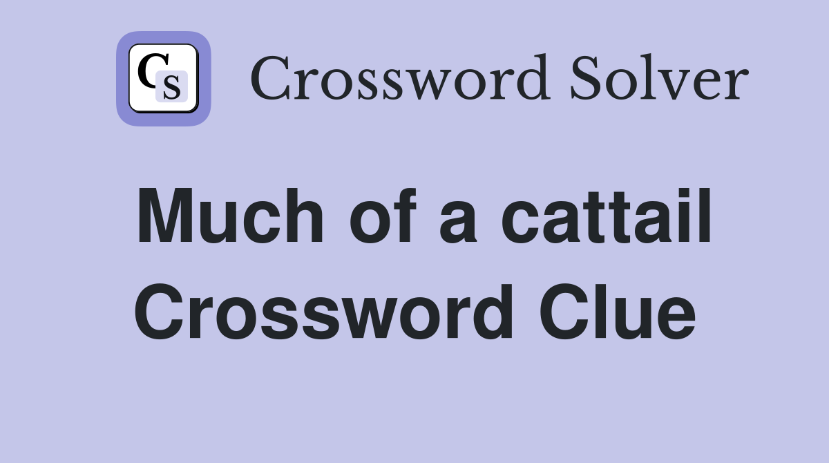 Much of a cattail Crossword Clue