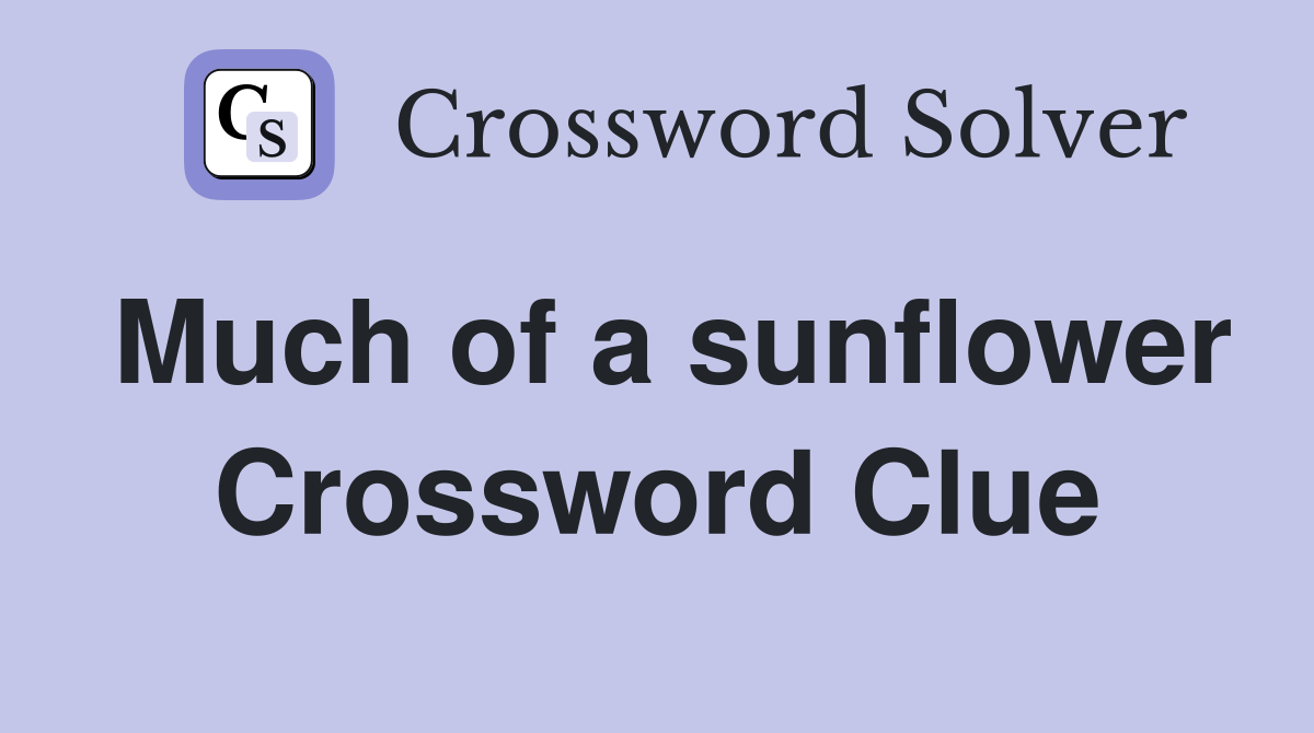 Much of a sunflower Crossword Clue