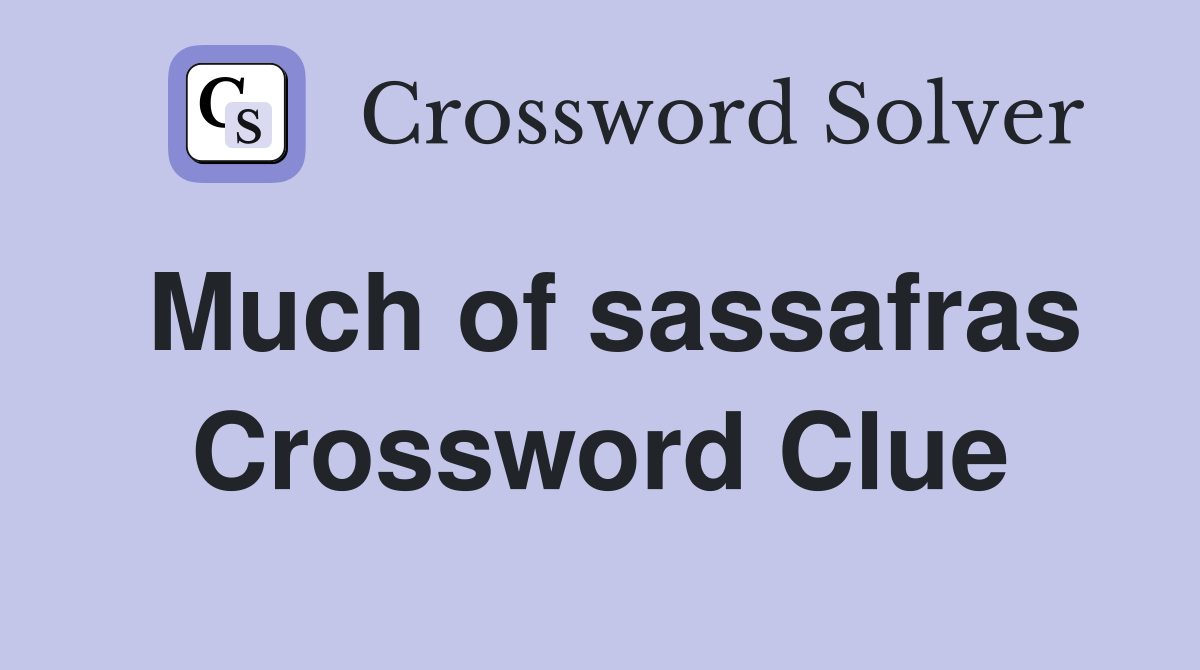 Much of sassafras Crossword Clue