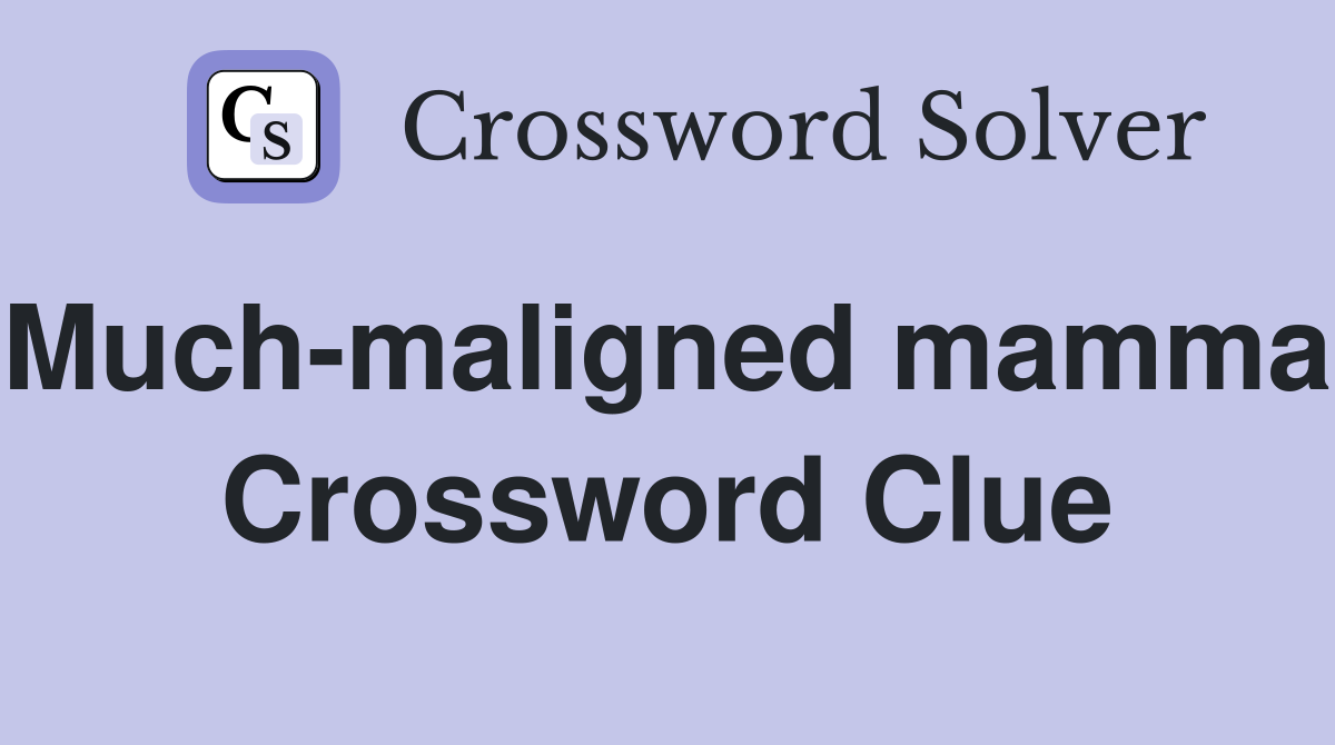 Much-maligned mammal Crossword Clue