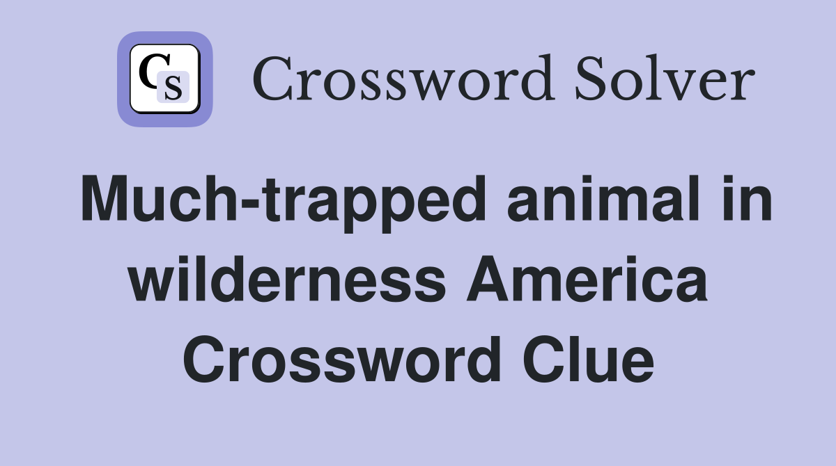 Much-trapped animal in wilderness America Crossword Clue